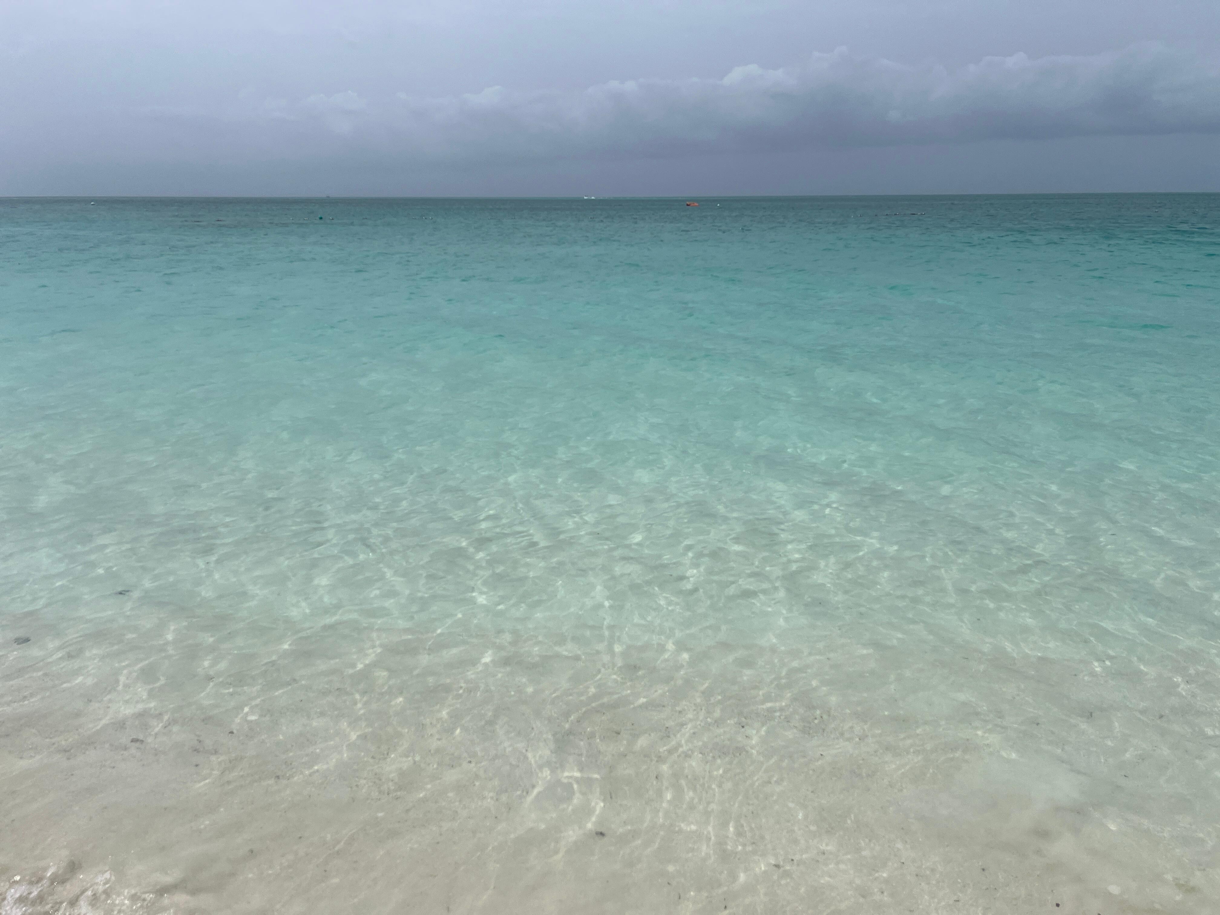 Water