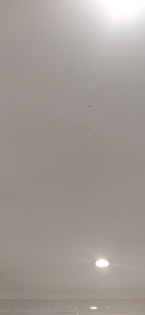 Moisissures sur le plafond de la salle de bain.