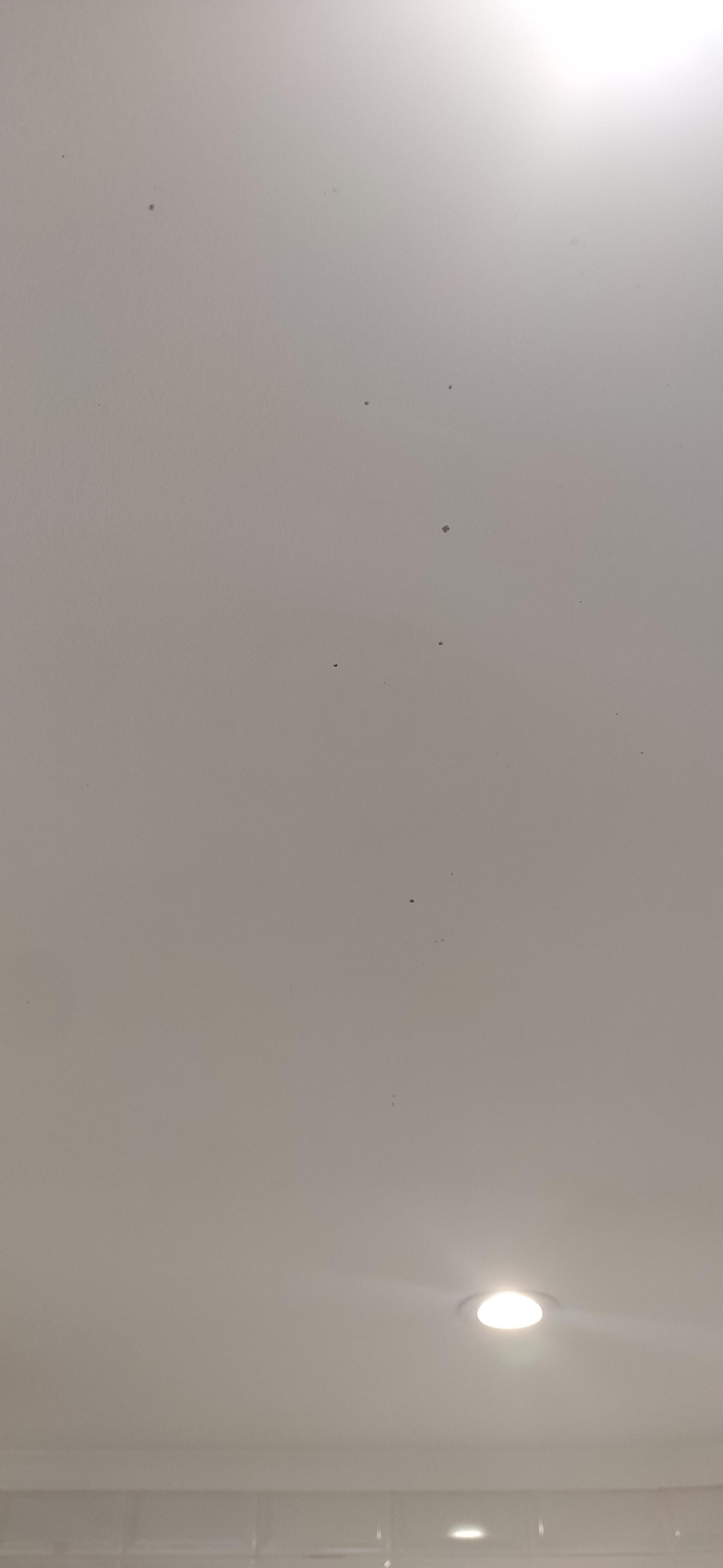 Moisissures sur le plafond de la salle de bain.