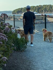 Just walking