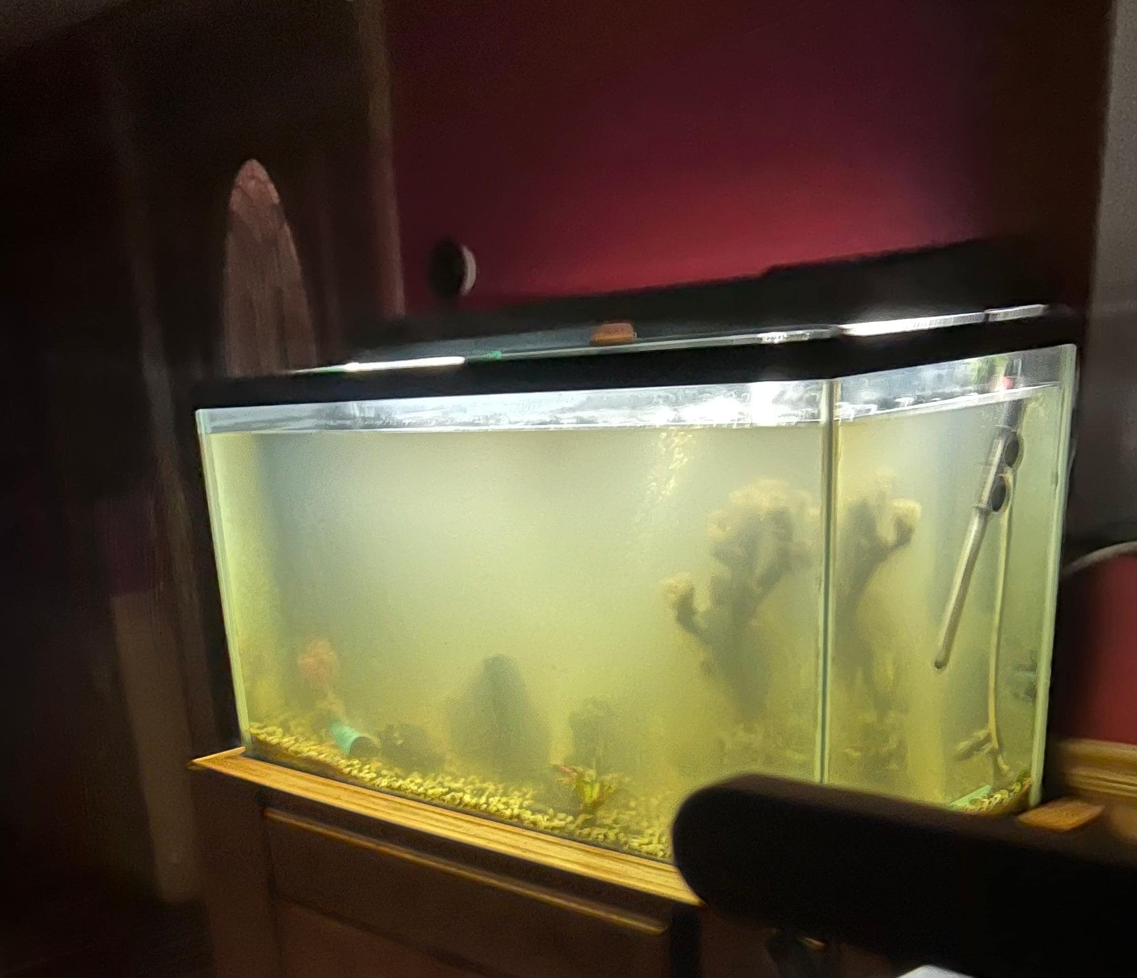 Neglected fish tank with an indescribable horrific smell that fills the bunk room sleeping area.