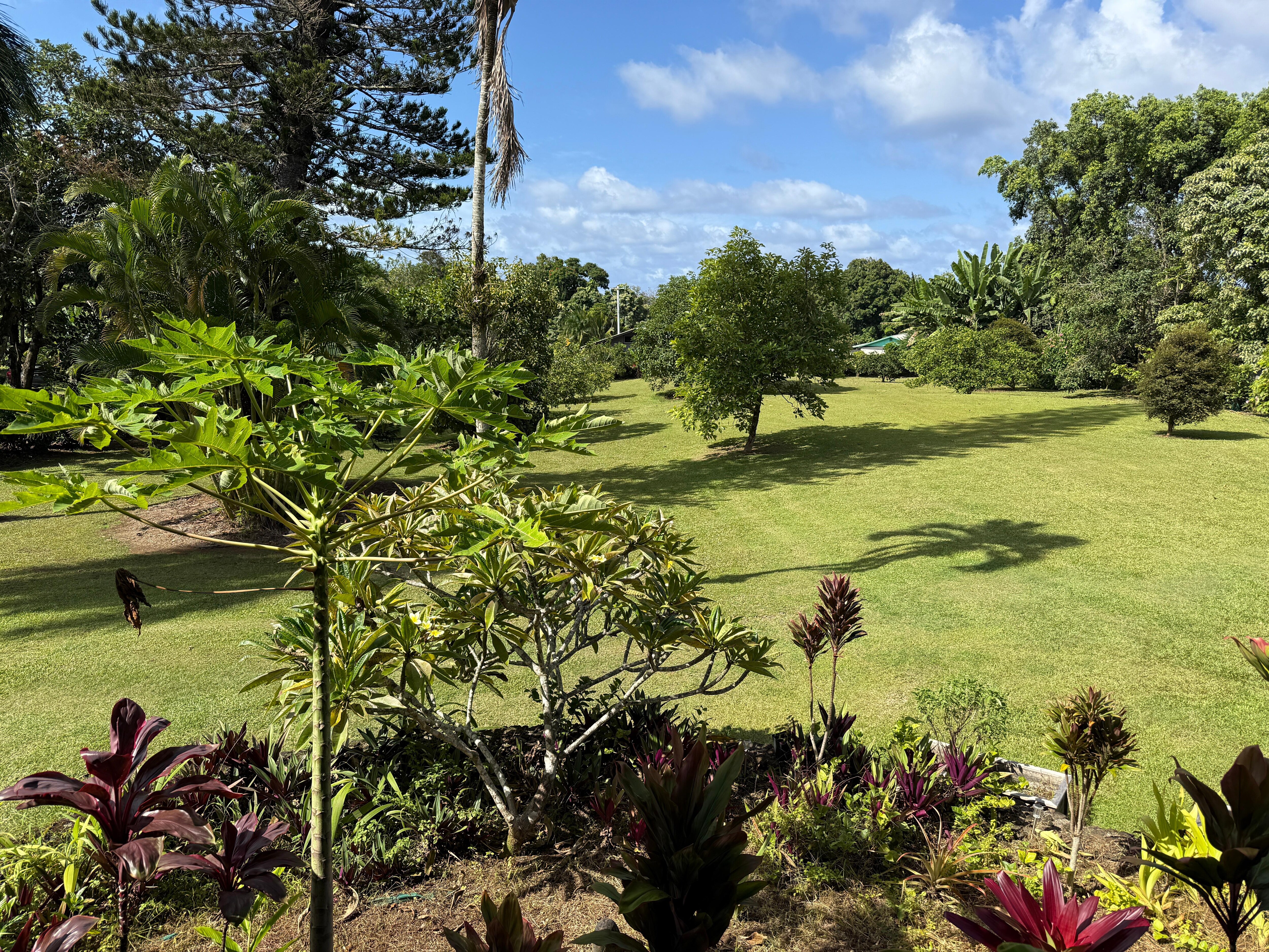 View from lanai
