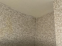 Papel de parede com infiltração