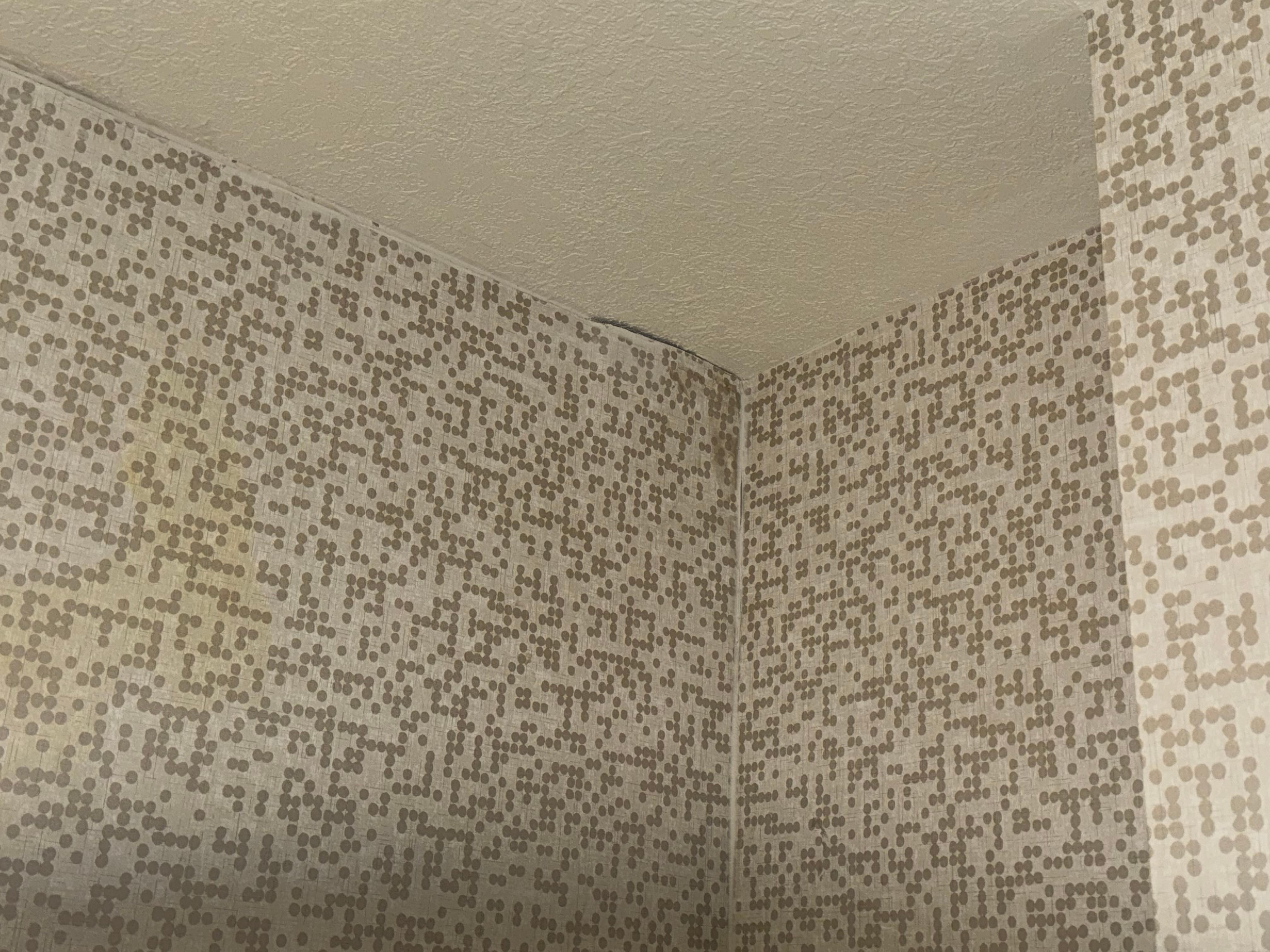 Papel de parede com infiltração