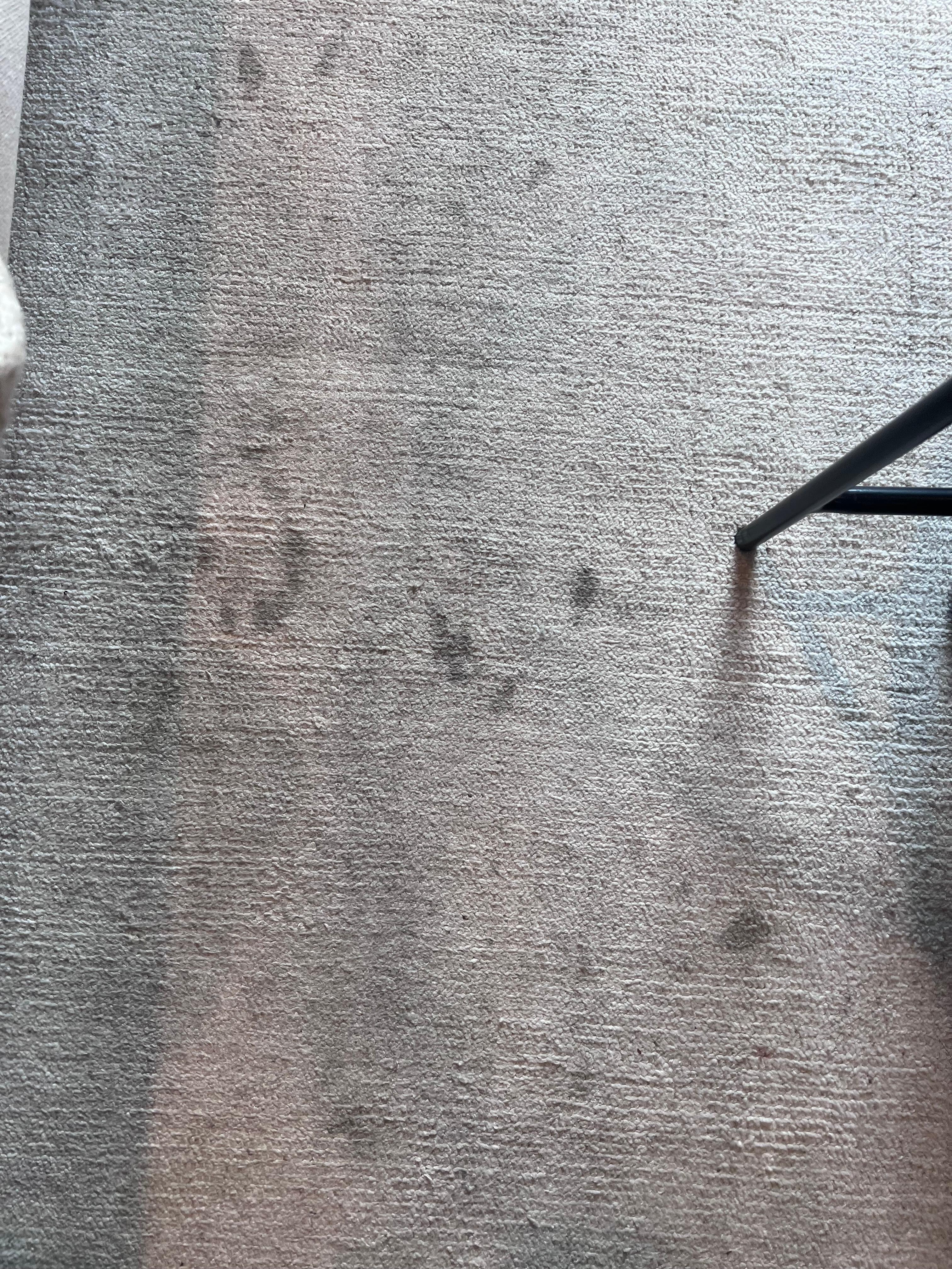 Living room carpet🤮
