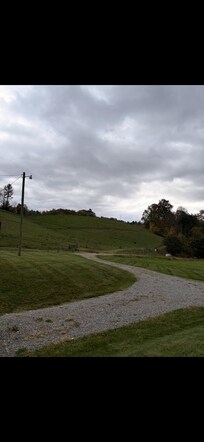 Driveway view