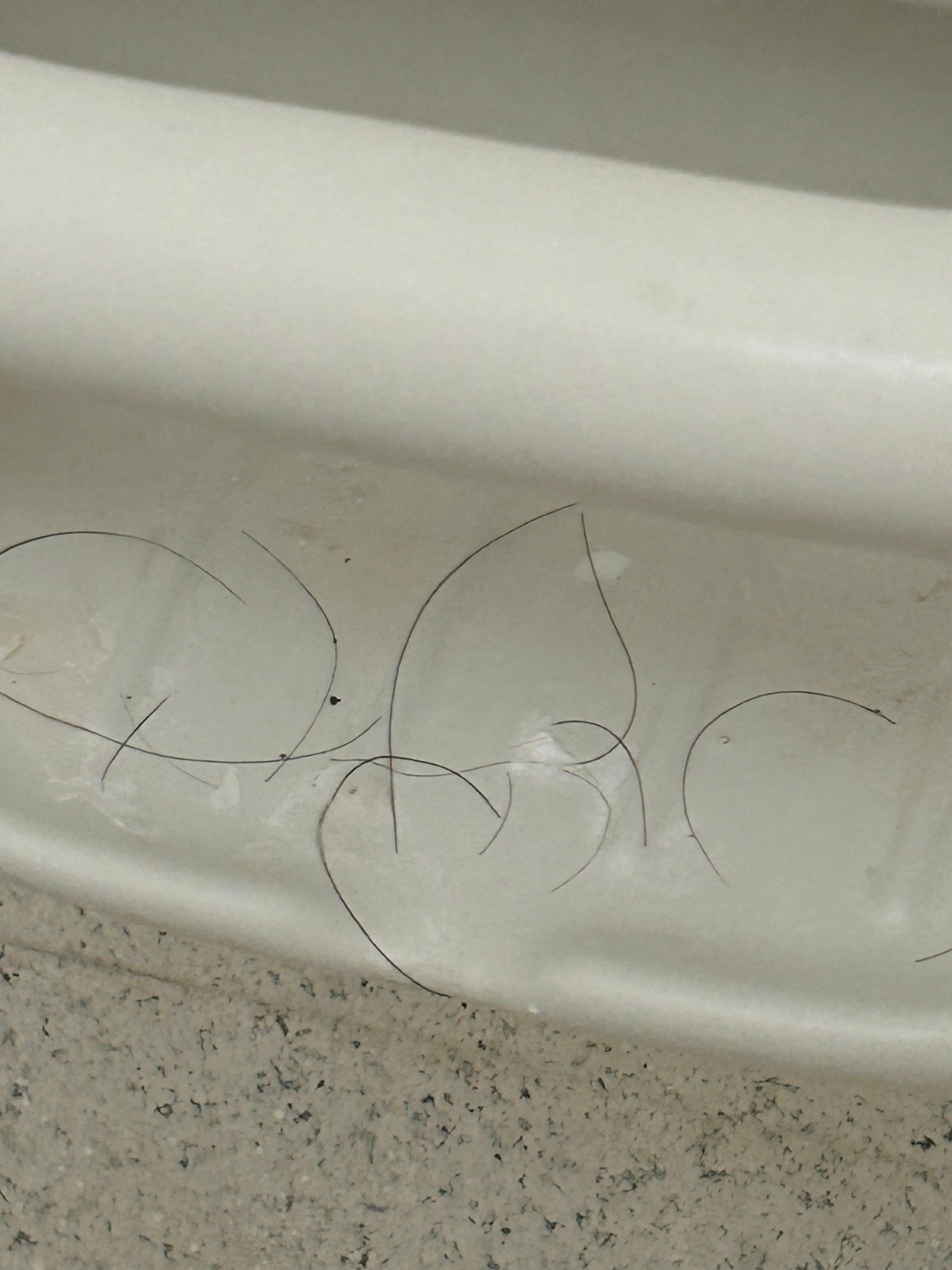 Hair in dirty bathroom upon arrival. Also saw small roaches crawling.