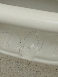 Hair in dirty bathroom upon arrival. Also saw small roaches crawling.