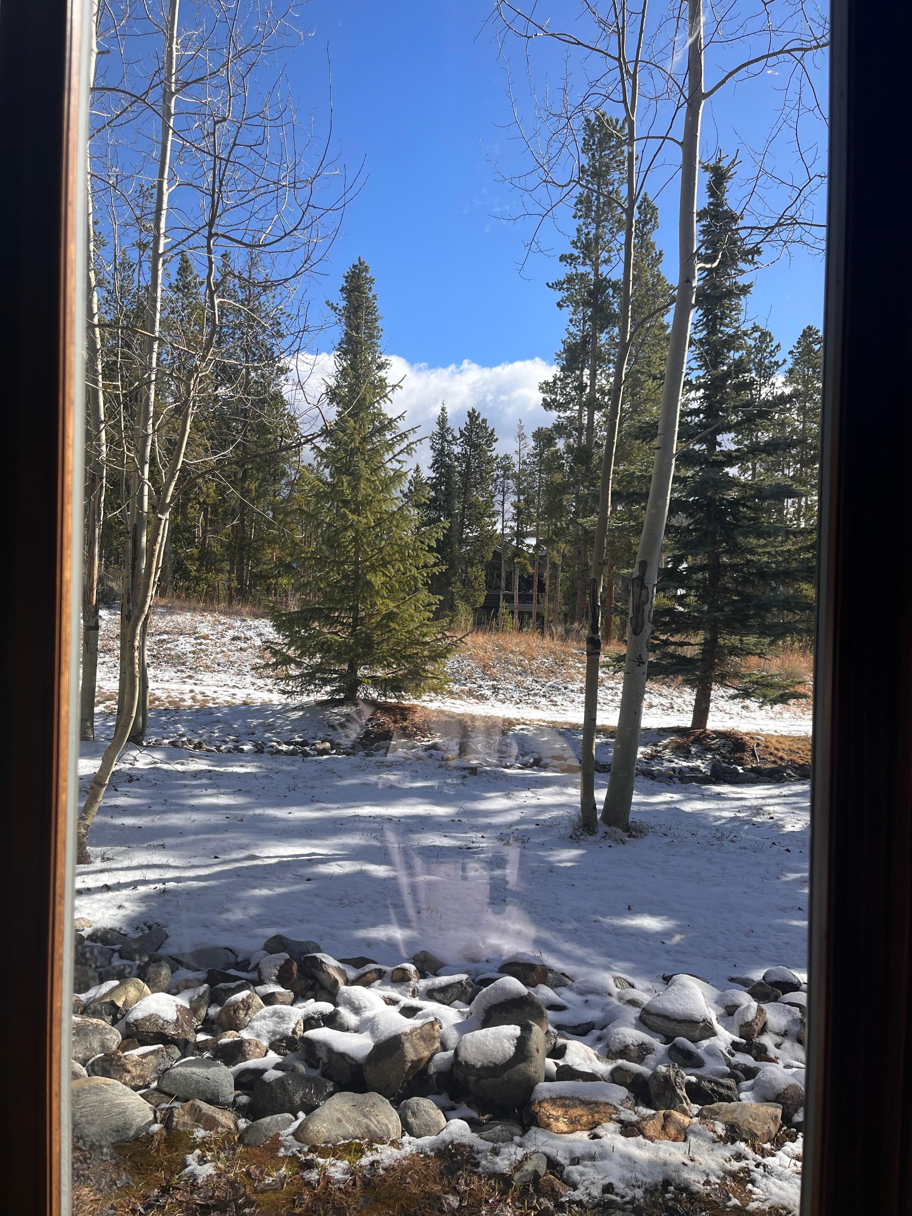 The view outside the front door after the snow came.