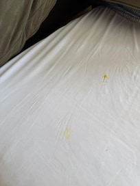 Body fluids on linens
