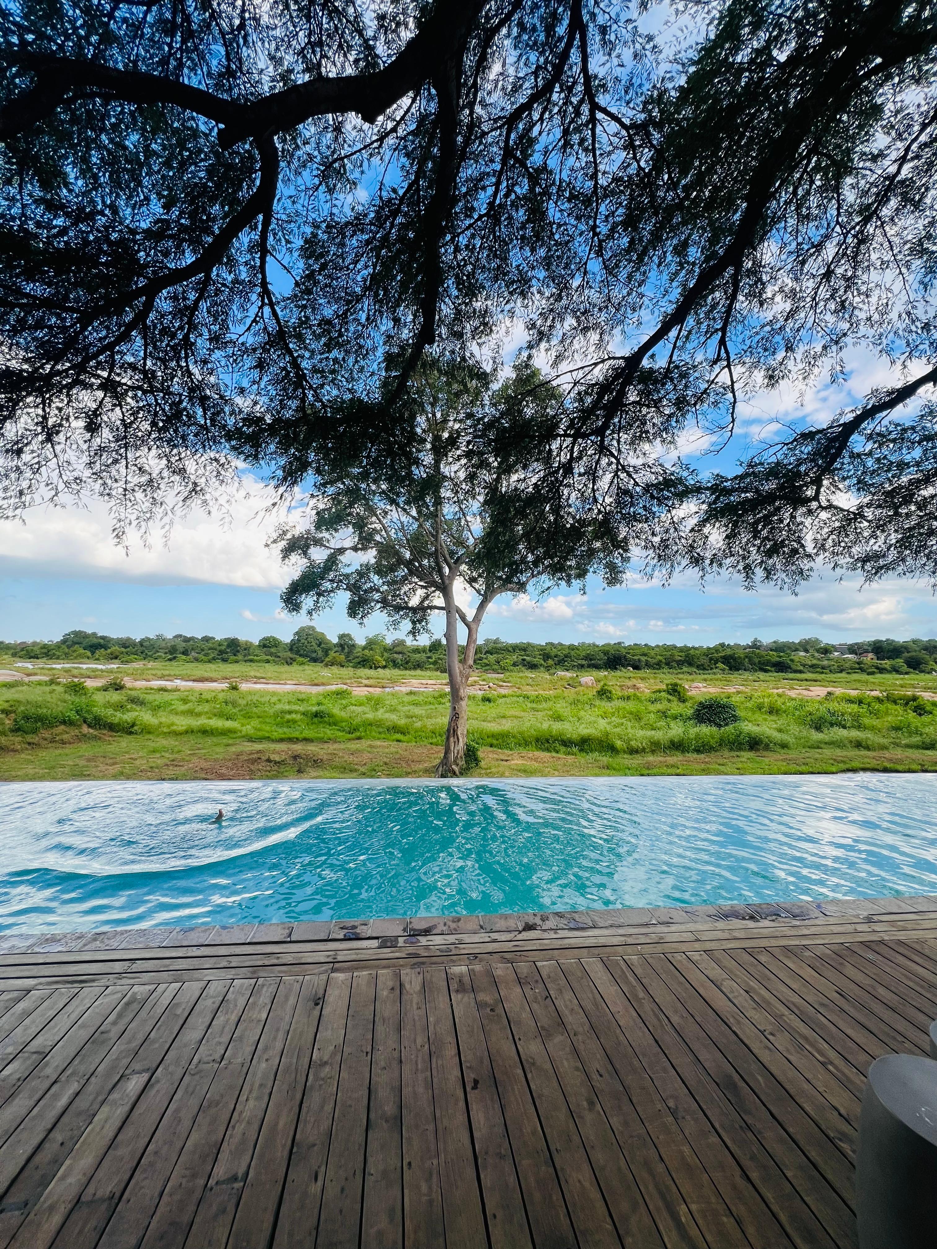 View from the pool, right into Kruger park. 