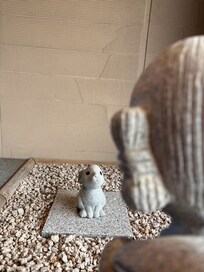 エントランスのうさぎさん