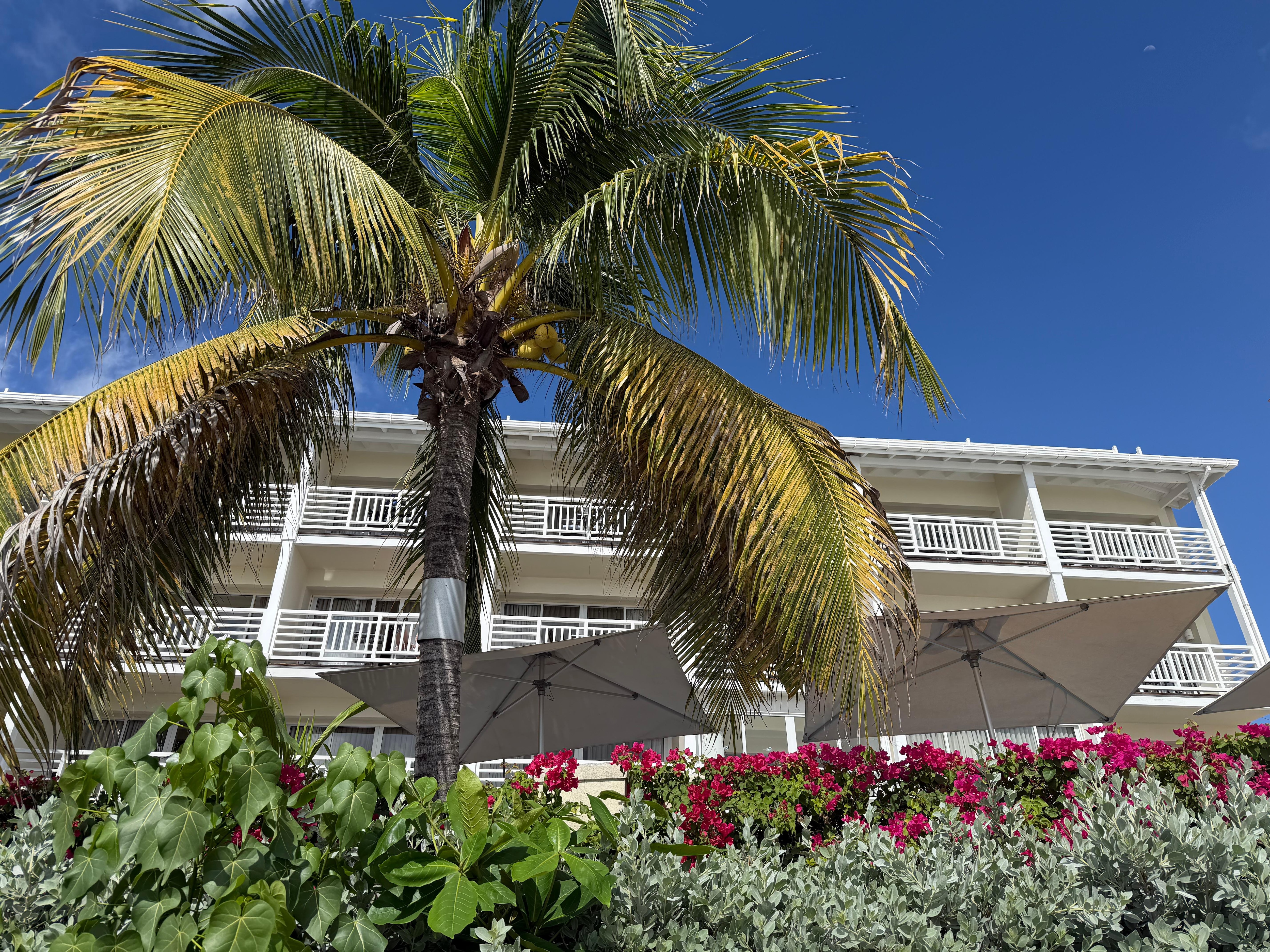 View of rooms from the boardwalk