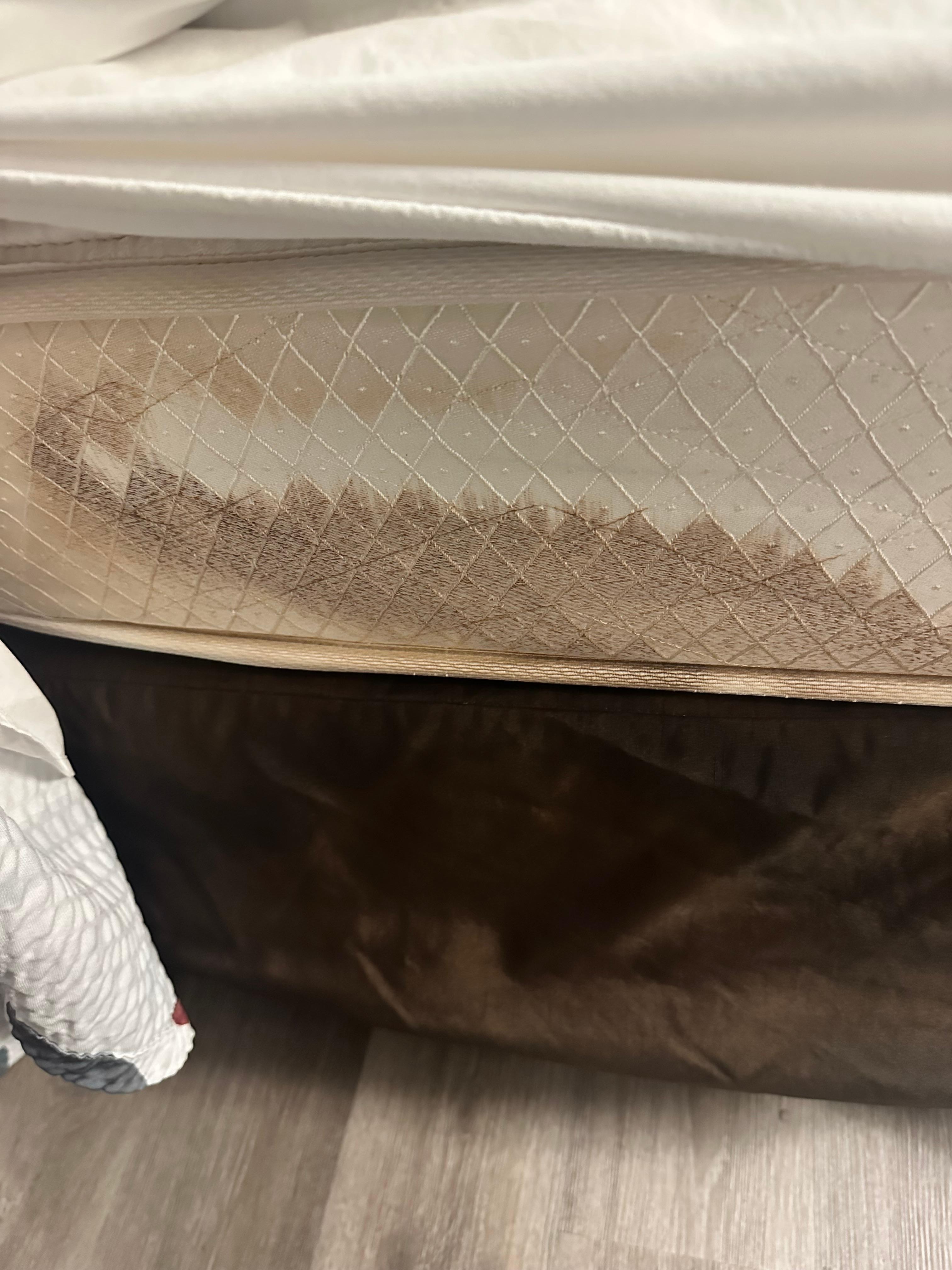 Stained Matress
