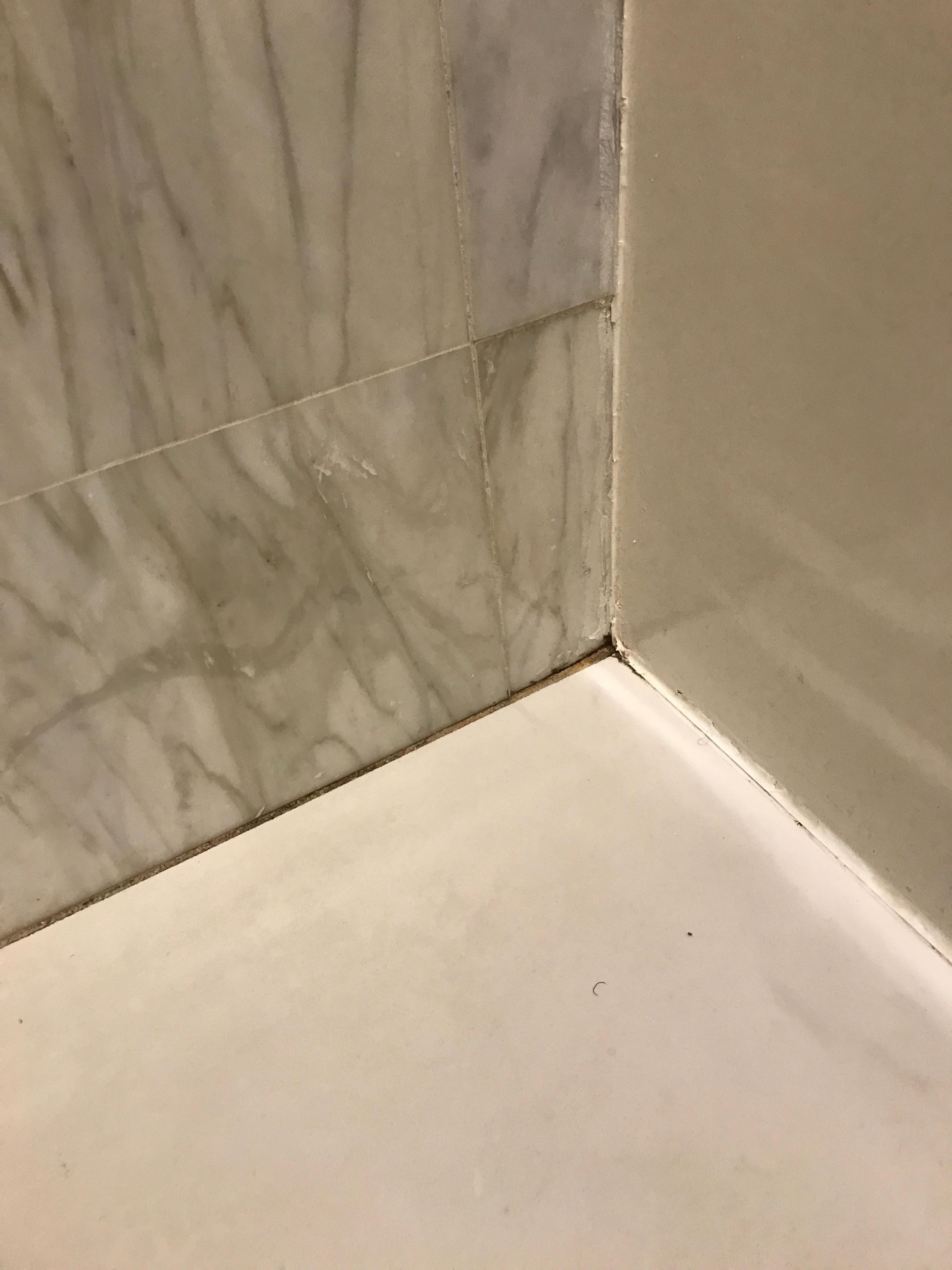 Mildew on bathroom floor