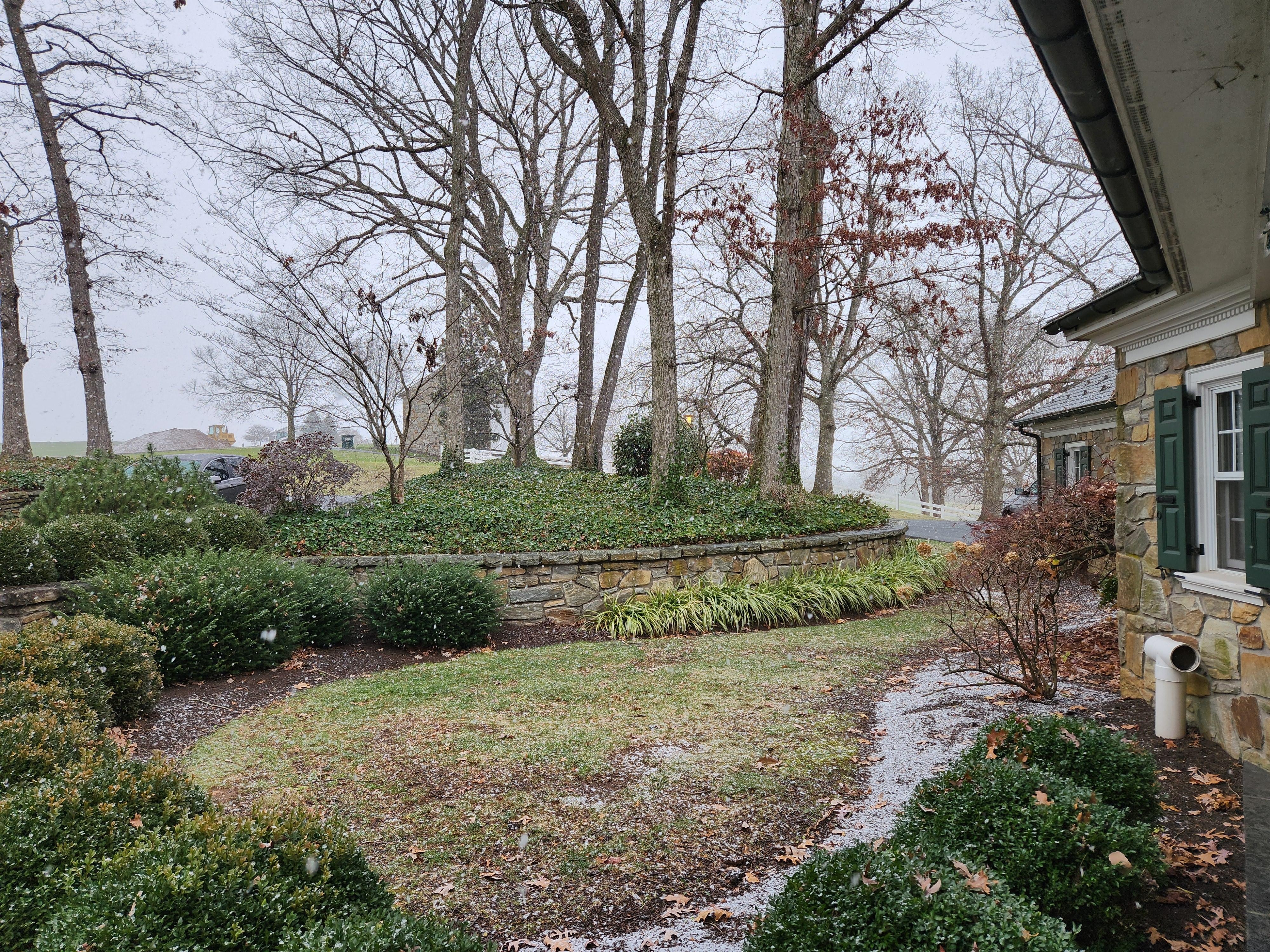 Starting to snow ❄️ 