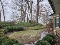 Starting to snow ❄️