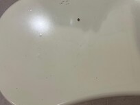 Some ants on table hard to see but I had to squish a couple on it