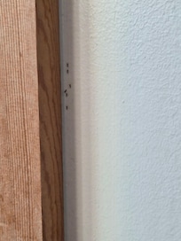 Ants crawling along the doorway in the bathroom.