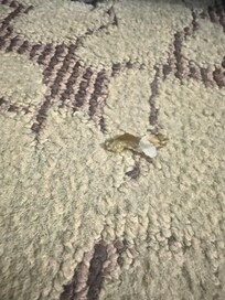 Stepped on barefoot- next to bed.
