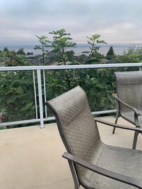 View from the deck.