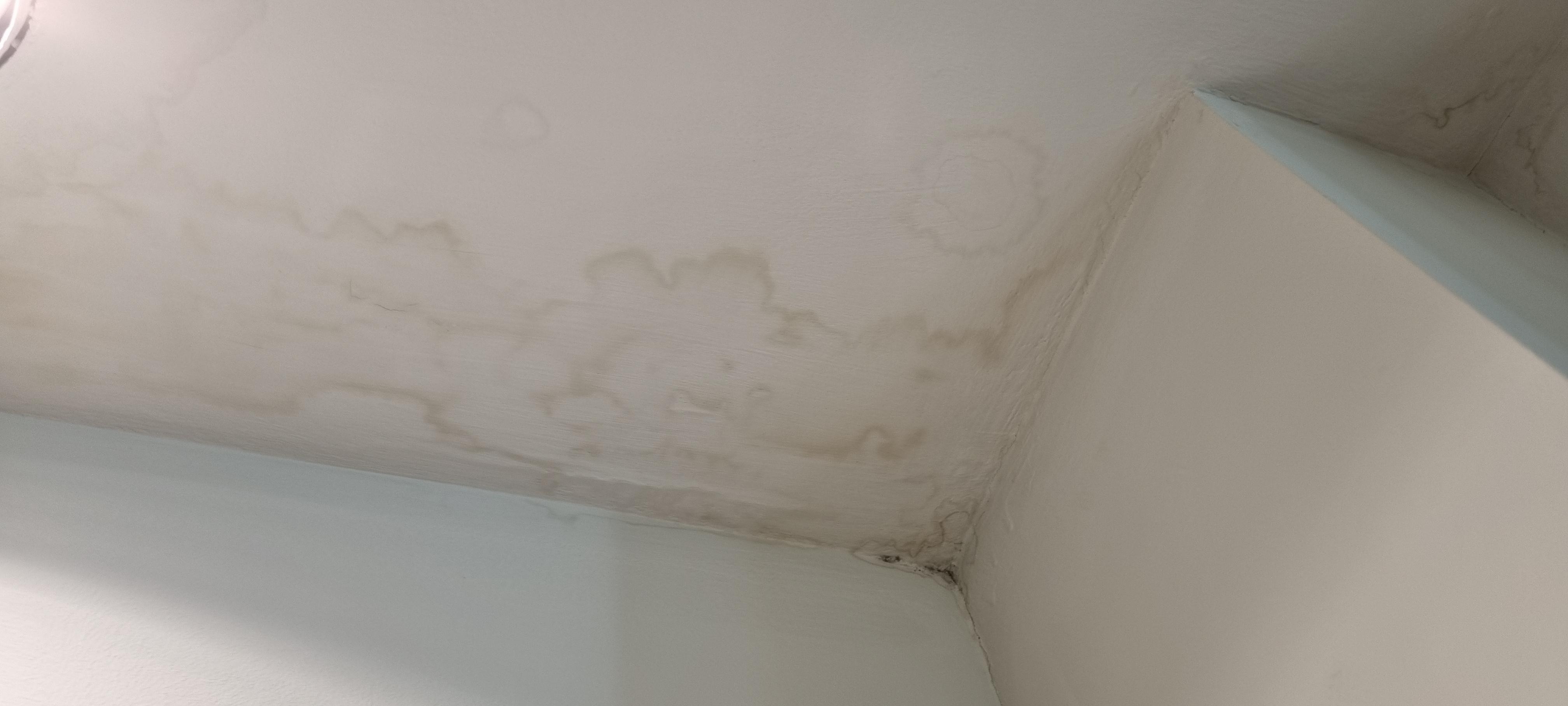 Damp on ceiling