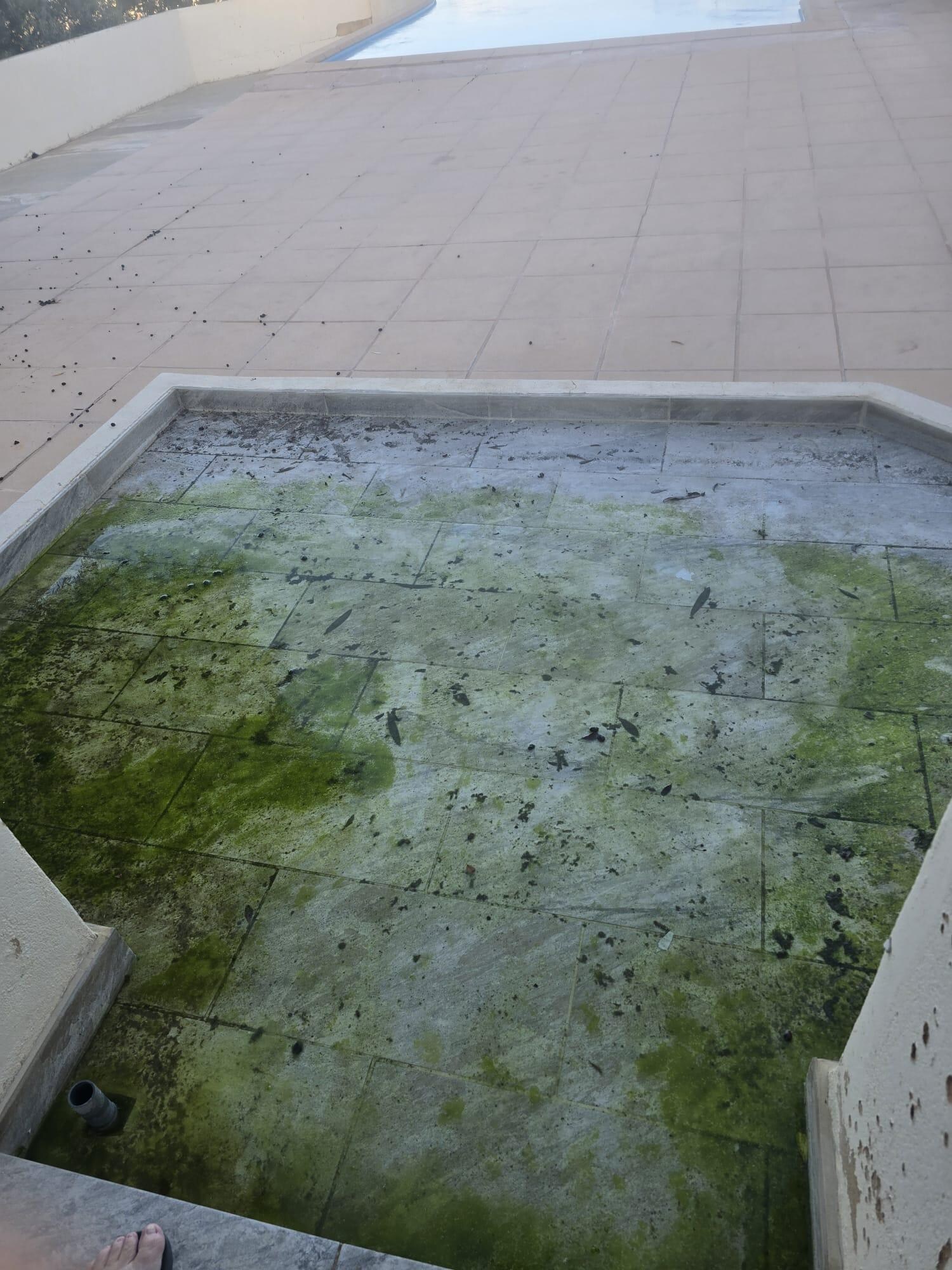 Fußwaschbecken vor dem Poolbereich