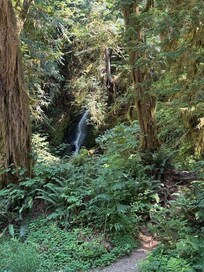 Trail hiking