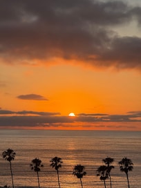 From George's restaurant on the first night of our trip.