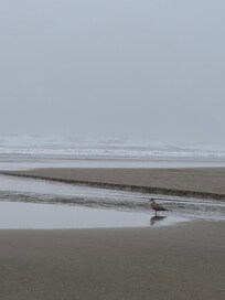 Taken on the beach behind the condo