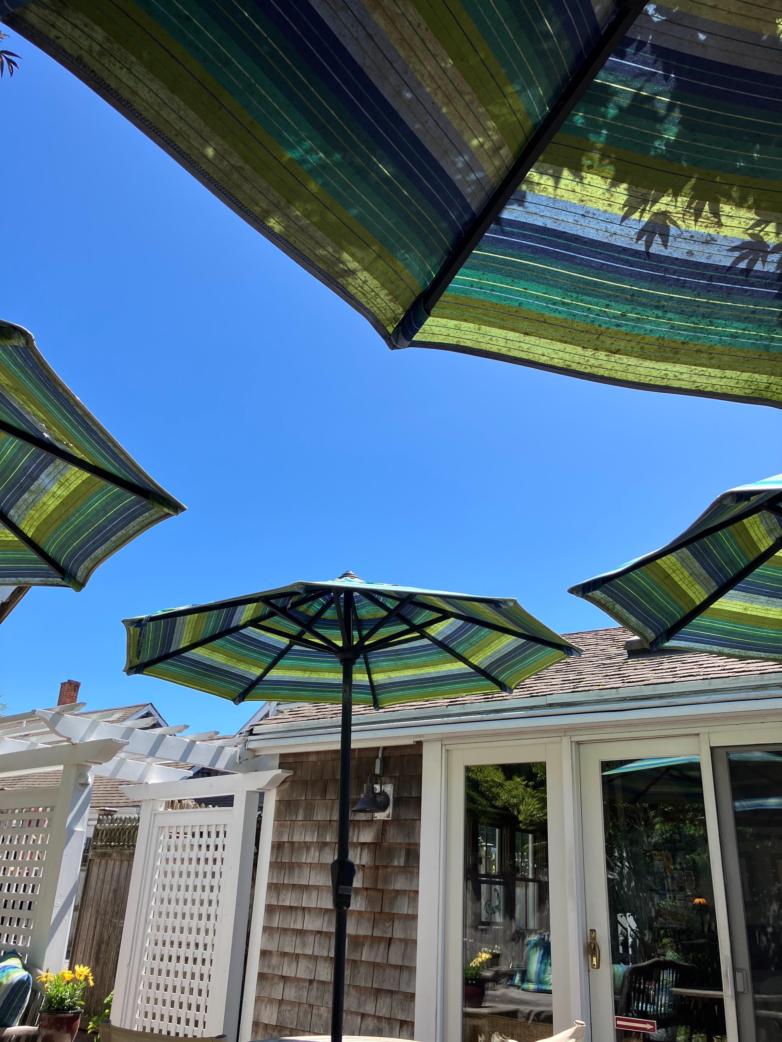 A beautiful day on the patio having breakfast.