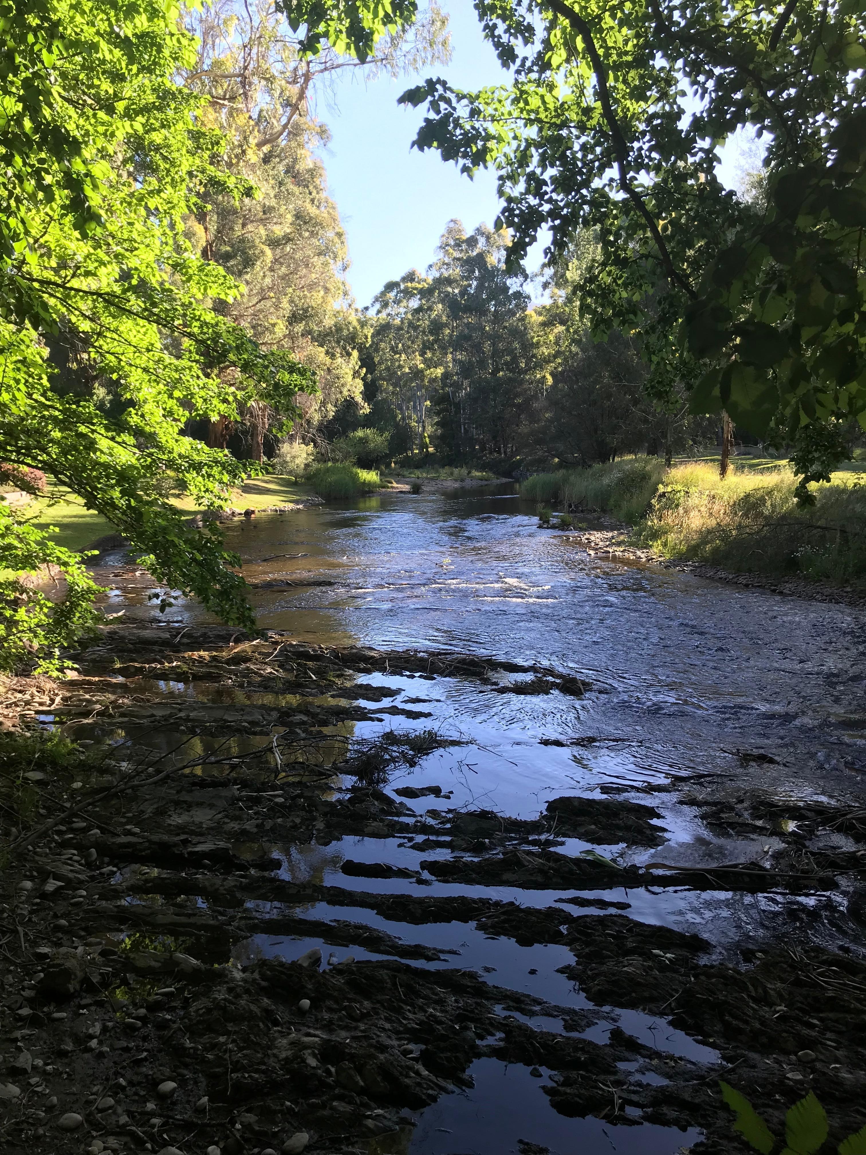 Photo from property garden