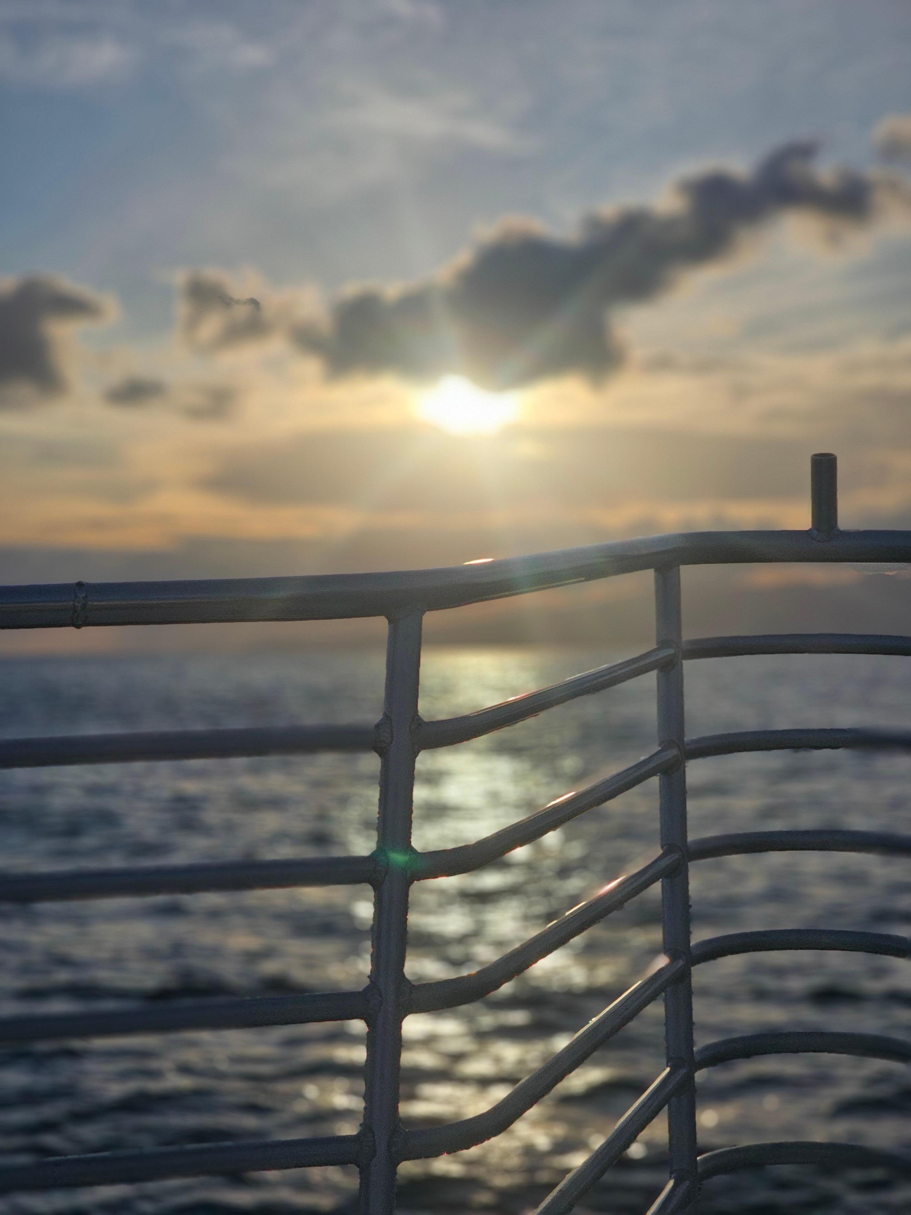 Living ocean sunset cruise
