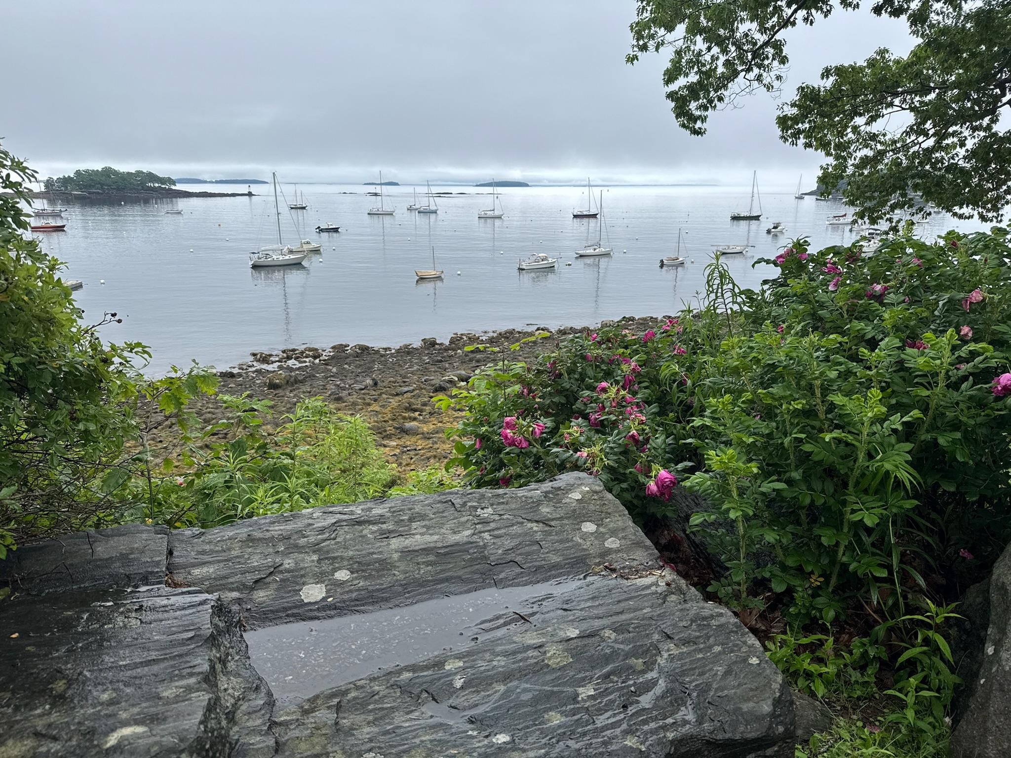 Harbor in the morning 