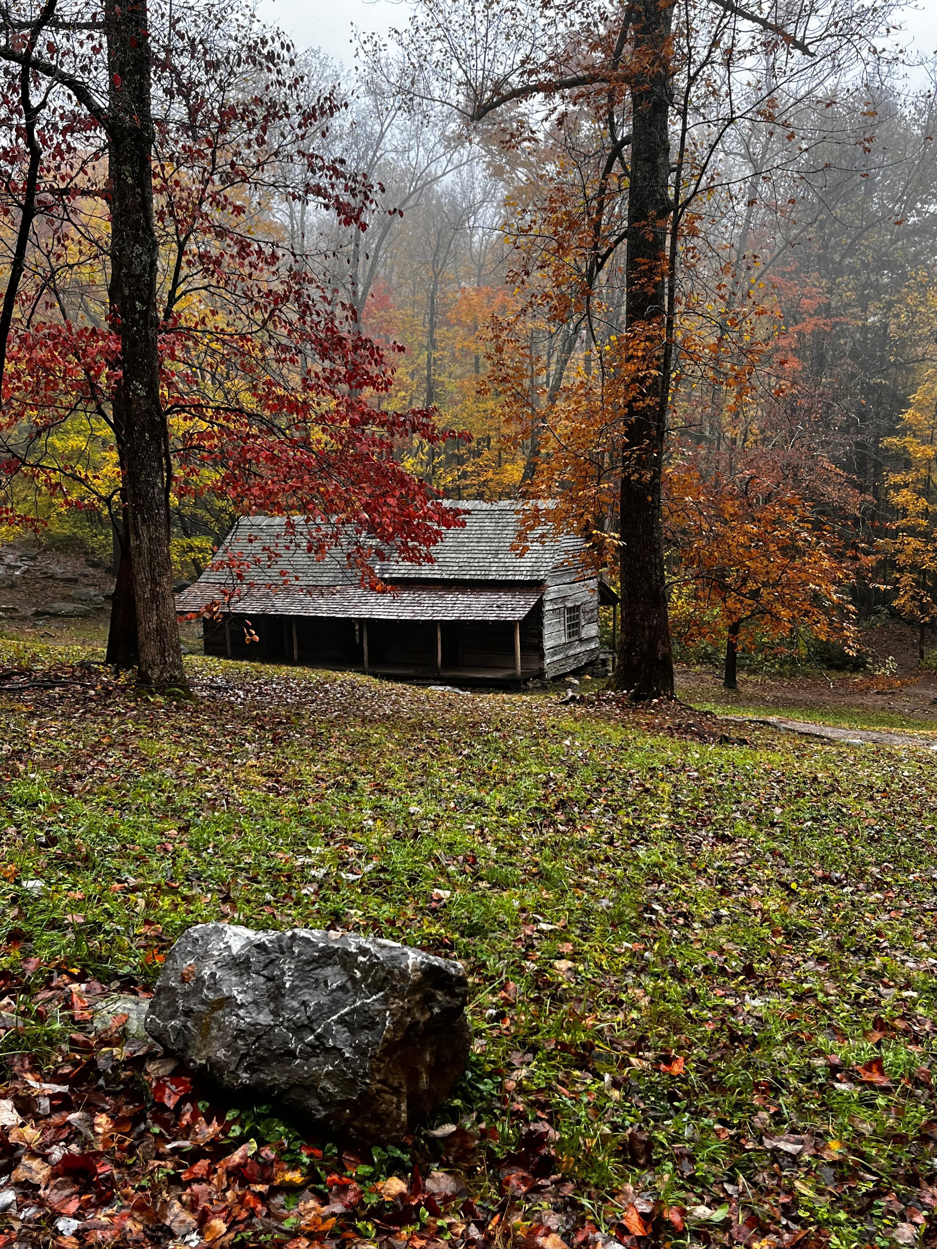 Not far from the condo. Short drive and saw baby bear climb a tree 