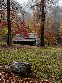 Not far from the condo. Short drive and saw baby bear climb a tree