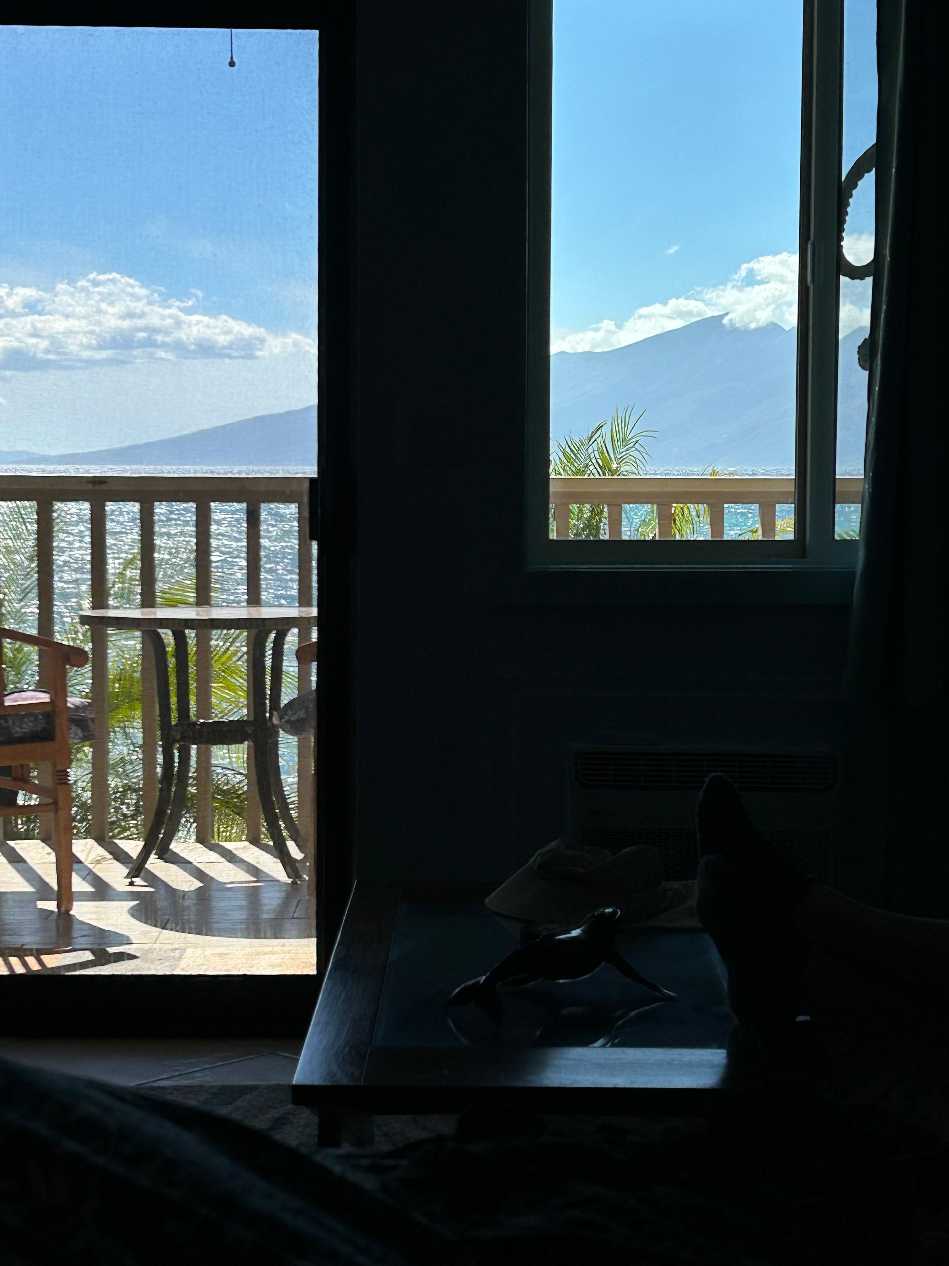 View from inside