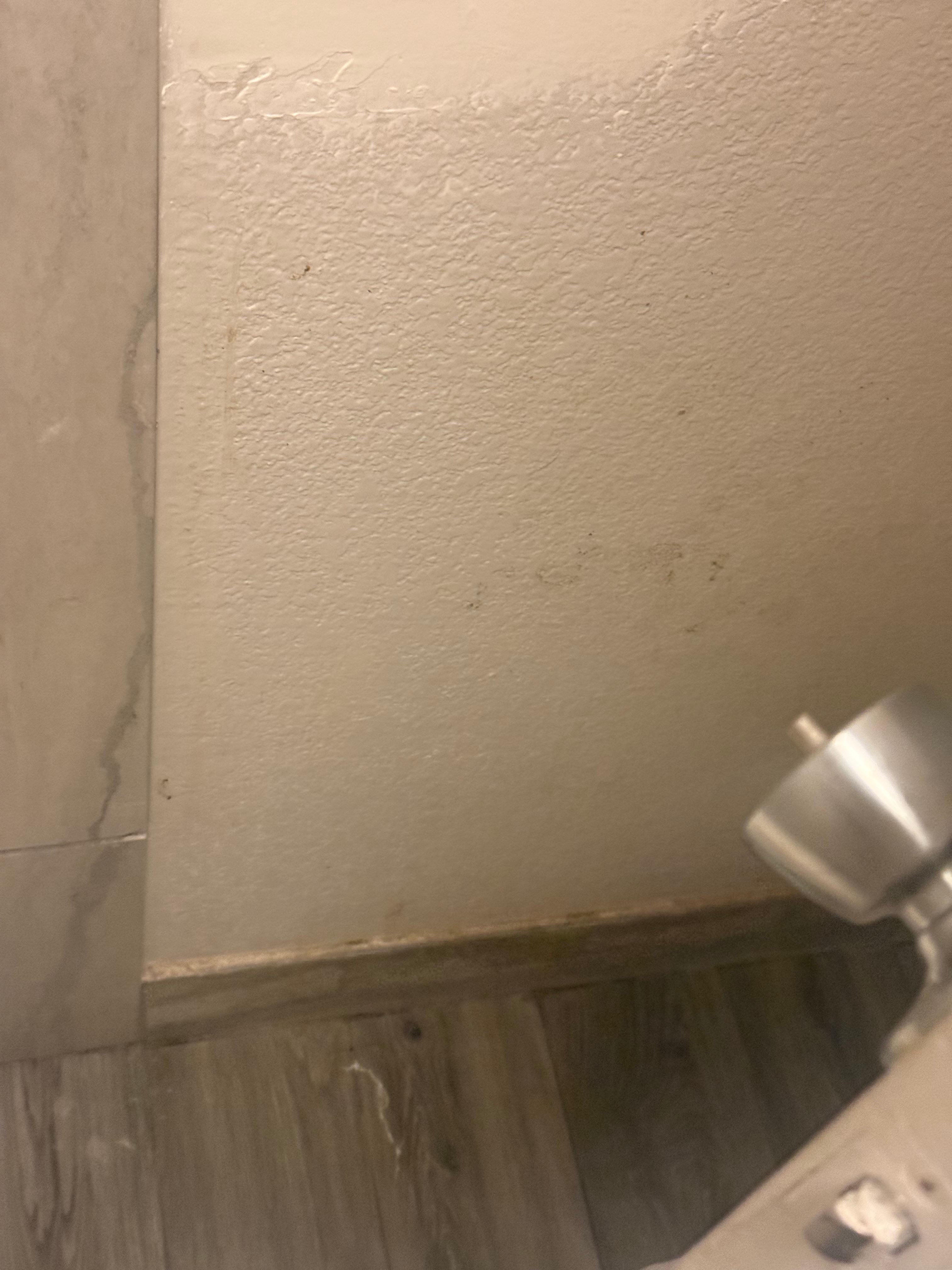 Filthy bathroom wall