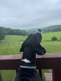 Smelling all the smells!