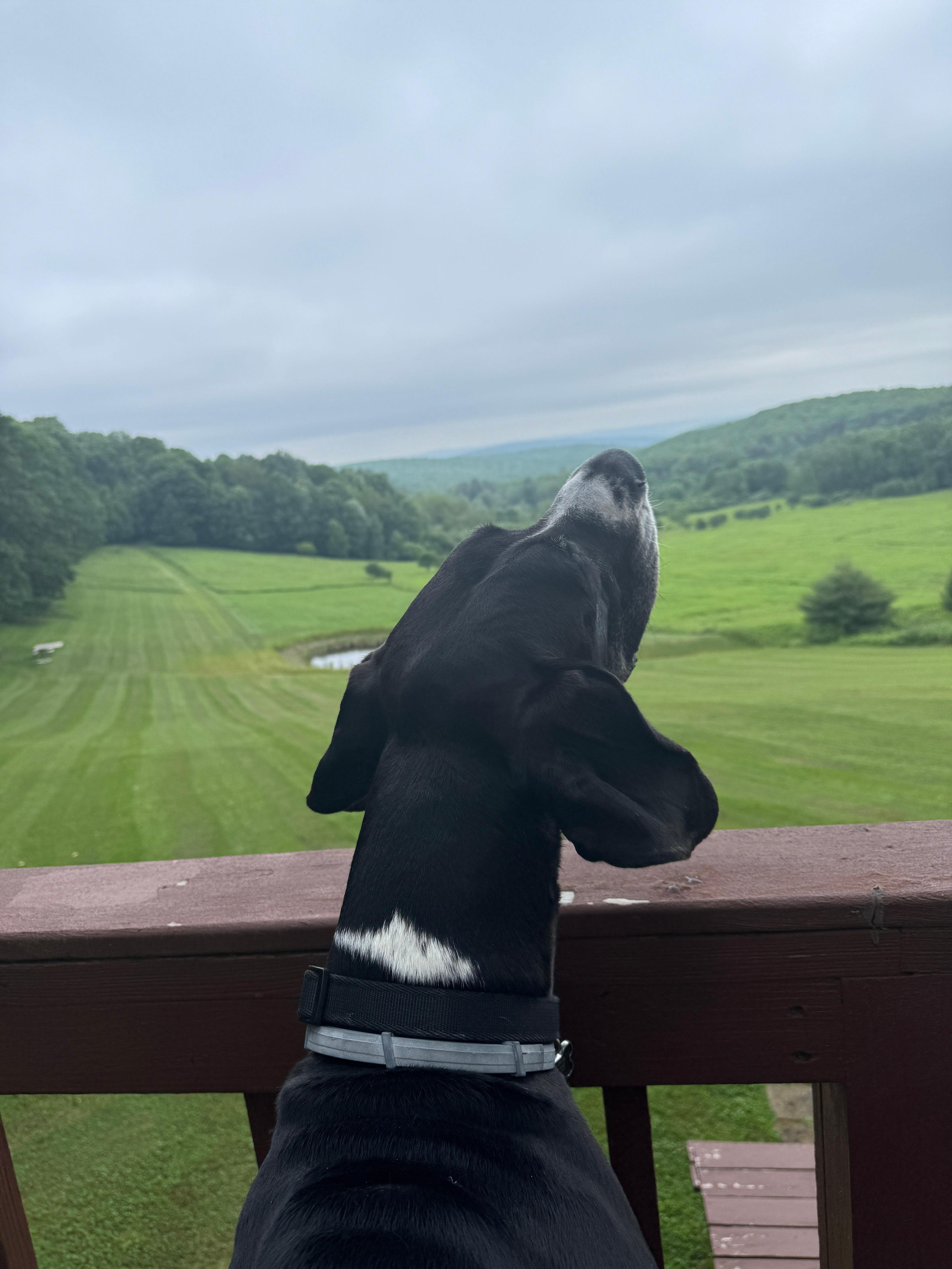 Smelling all the smells!