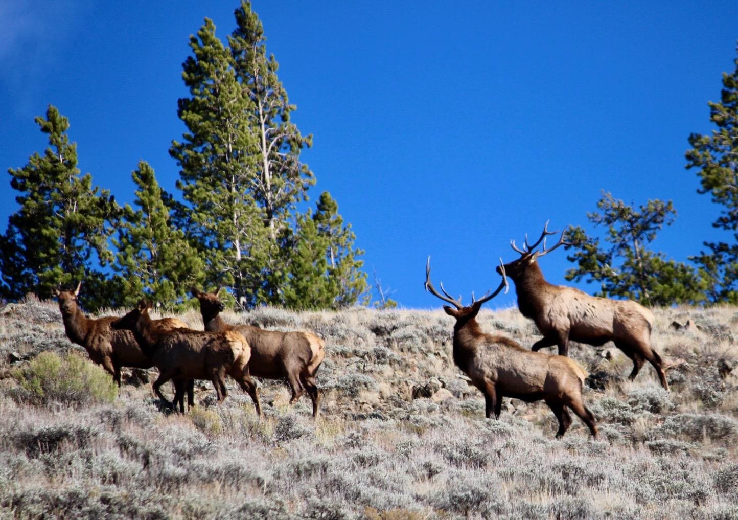 Drive between Granby and Grand Lake