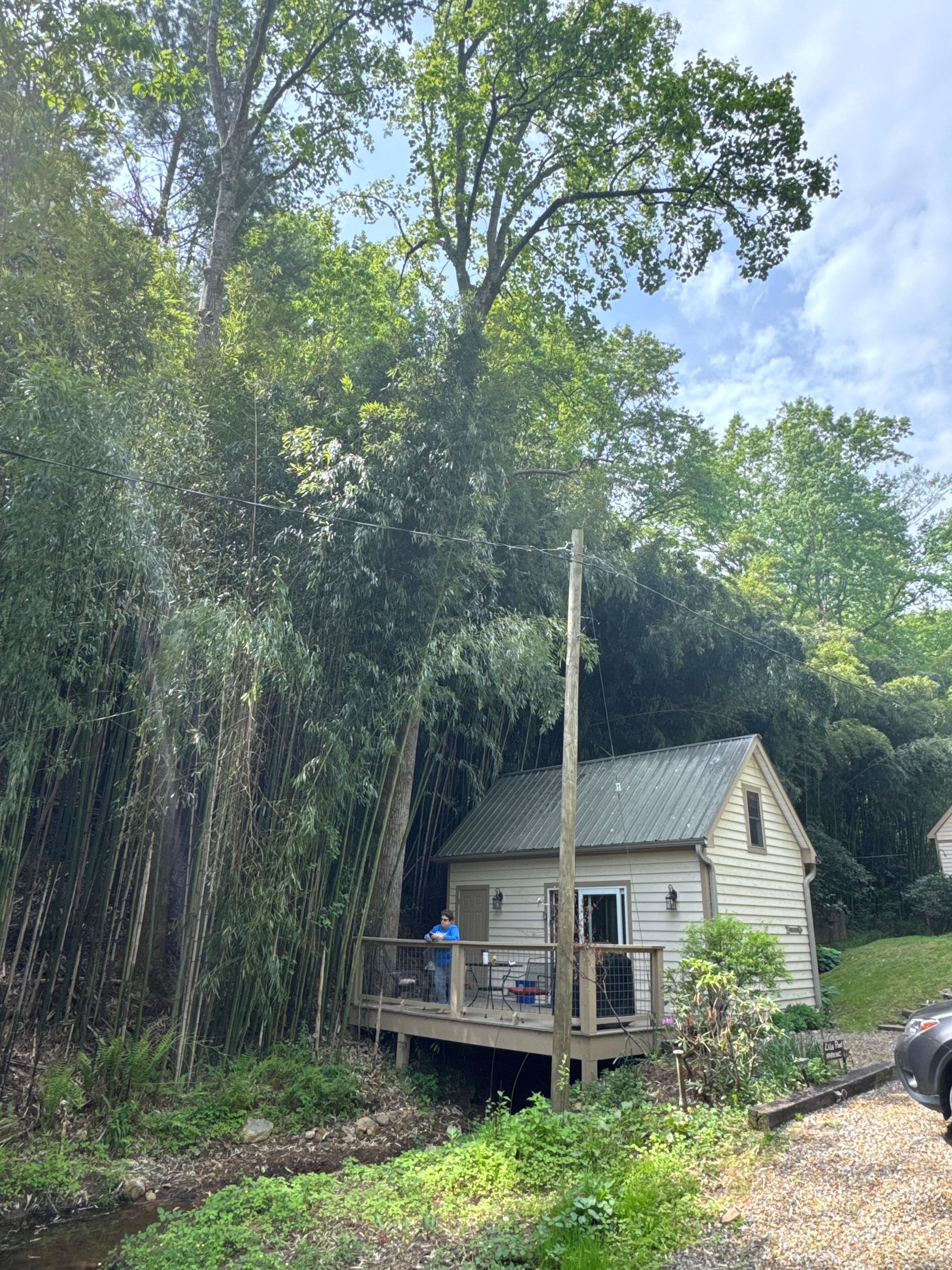 We loved the bamboo 