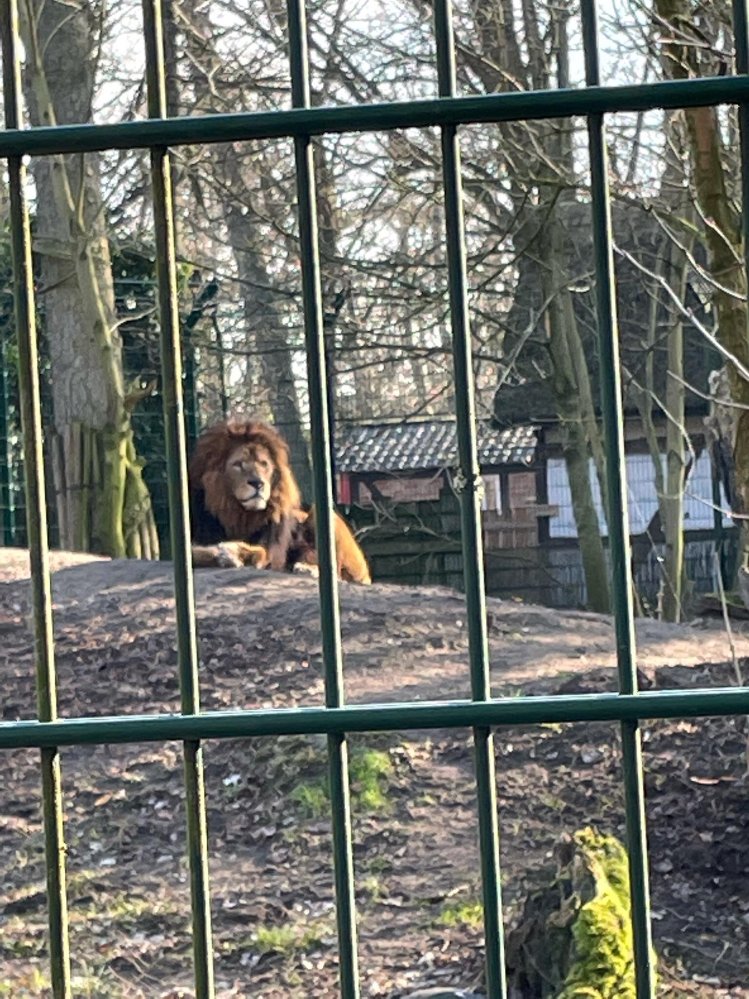 ZOO Stralsund.