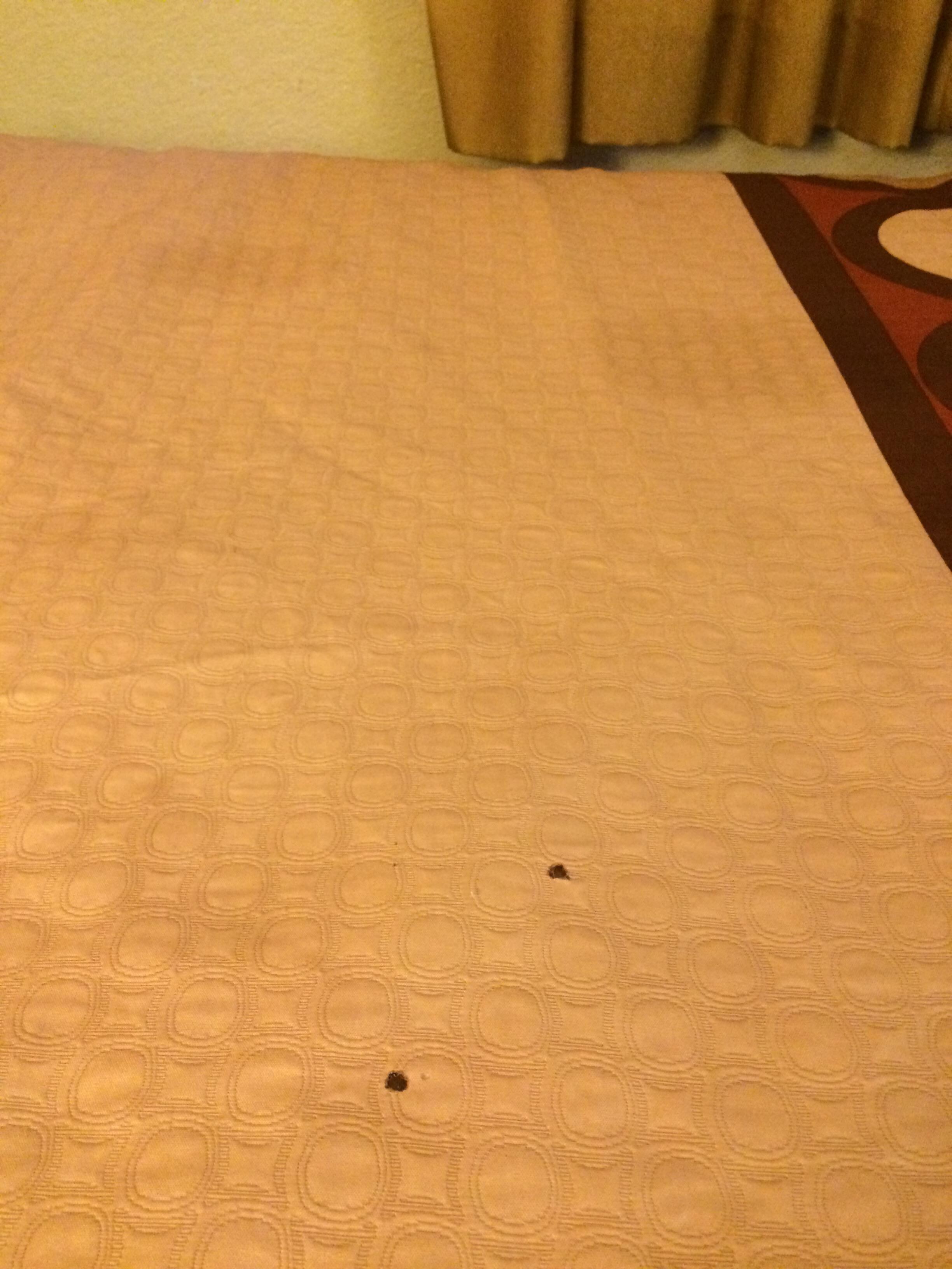 Room 211 - cigarette burns and stains on bed