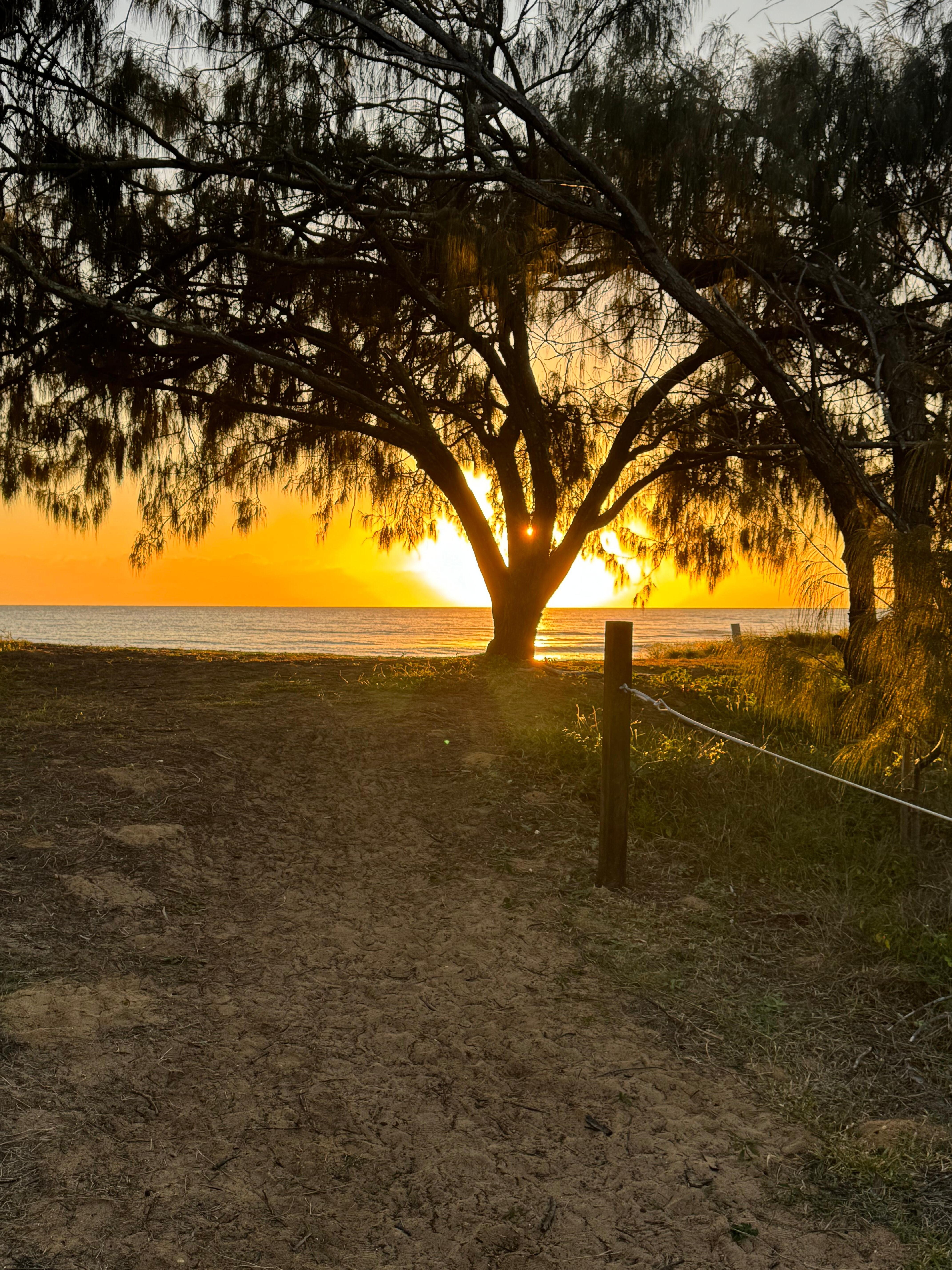 Sunrise on the beach