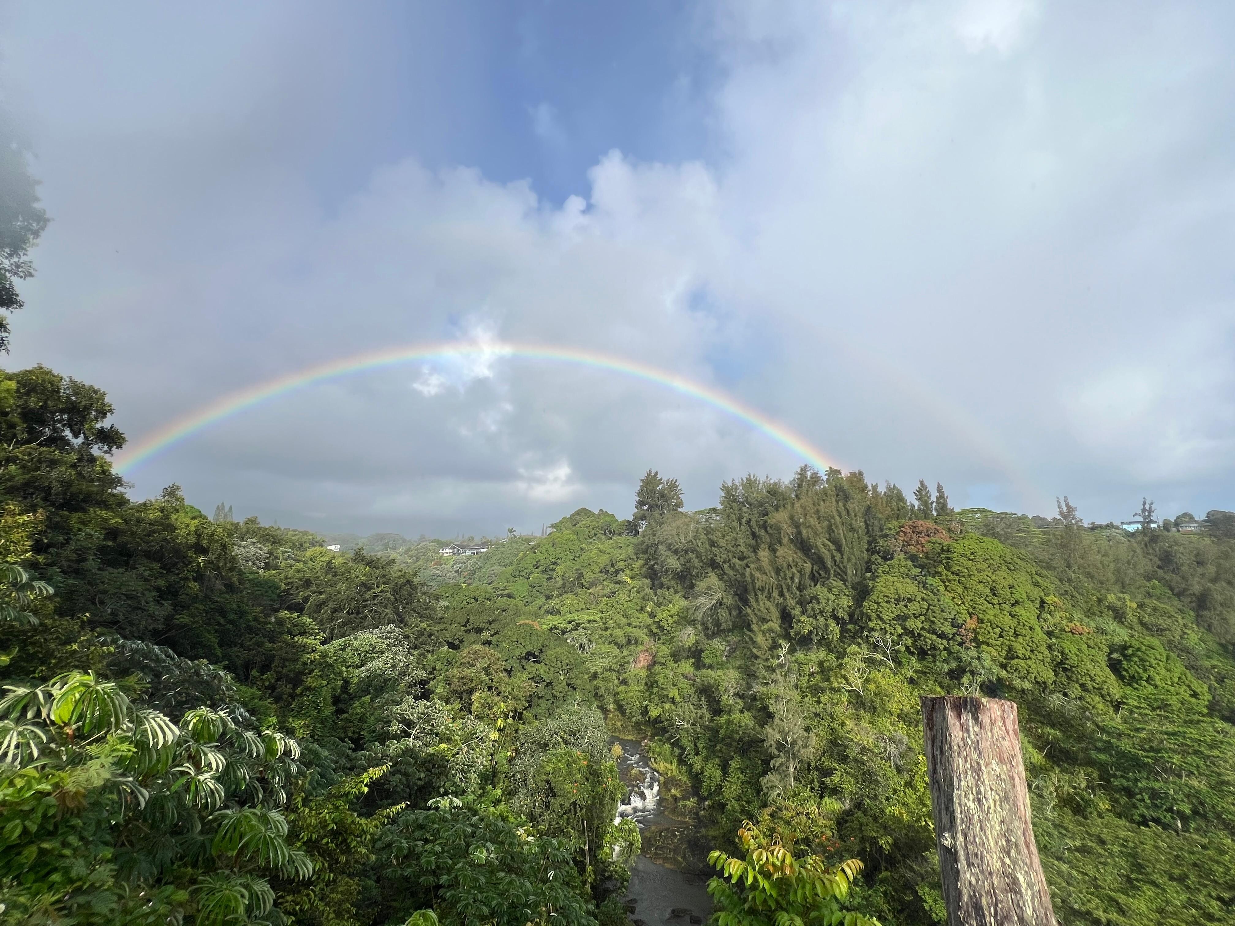 Rainbows everywhere 