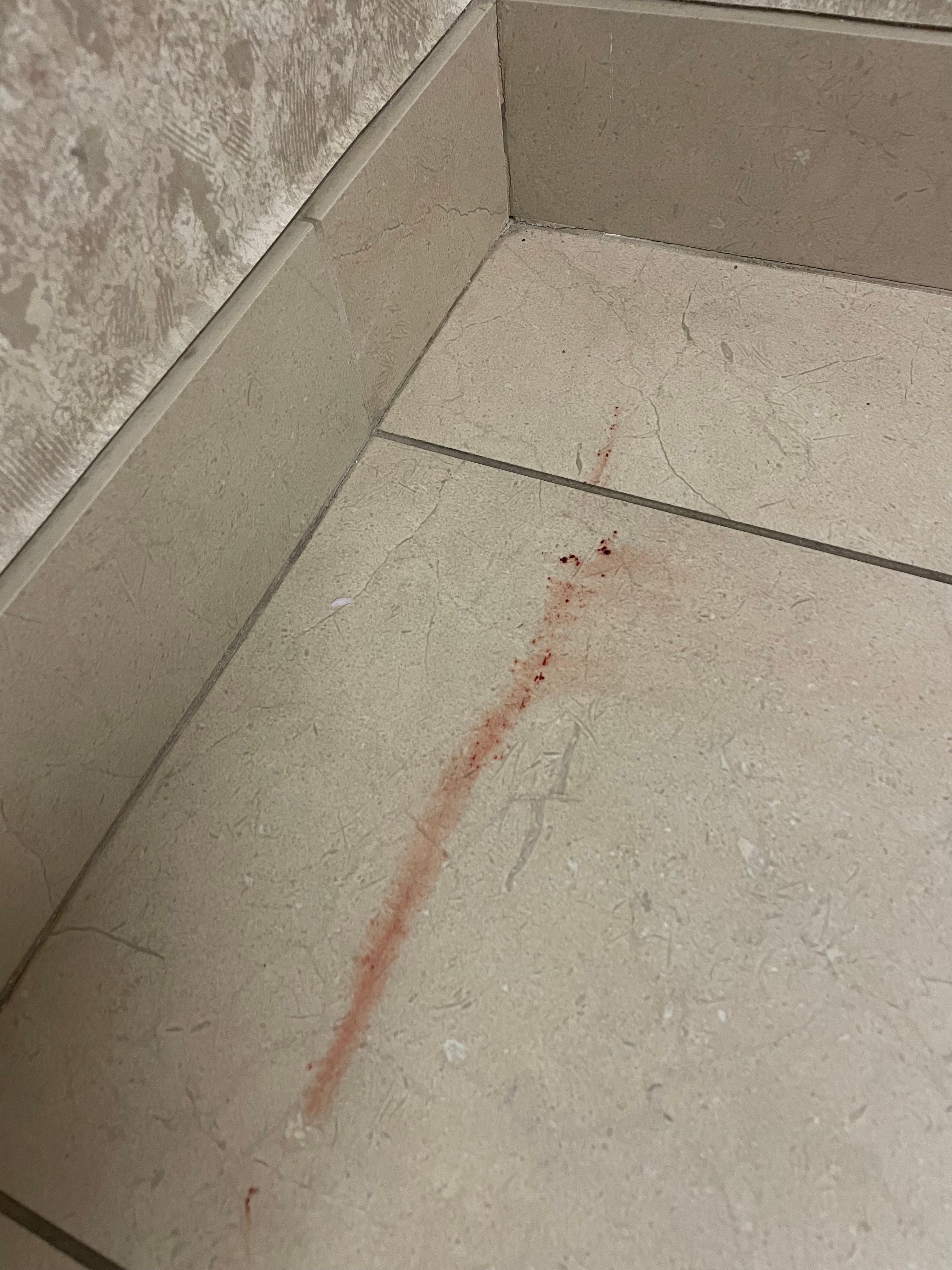 À notre arrivée, la salle de bain était dans cette état et nous avons marché pied nu dans le sang 