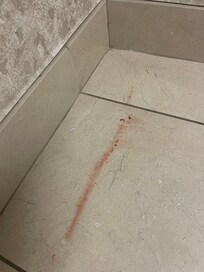 À notre arrivée, la salle de bain était dans cette état et nous avons marché pied nu dans le sang