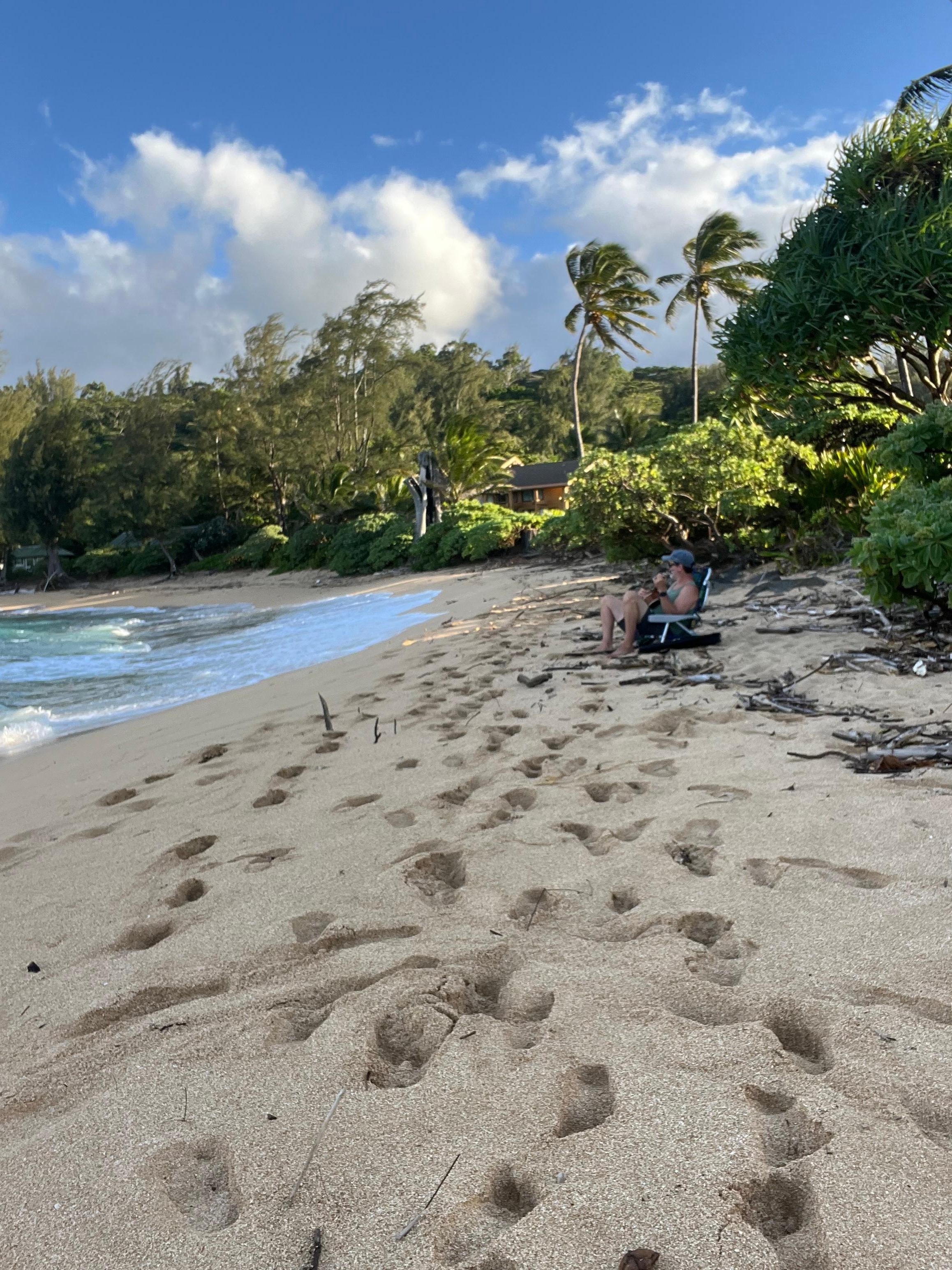 Beach in front of condo. 