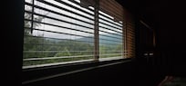 The view from the bed in the morning.